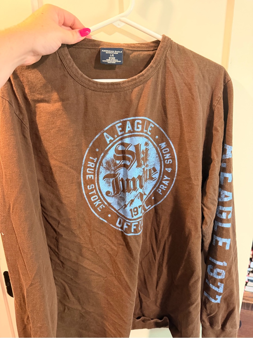 American Eagle Outfitters Brown Long-Sleeve Tee with Light Blue Graphic